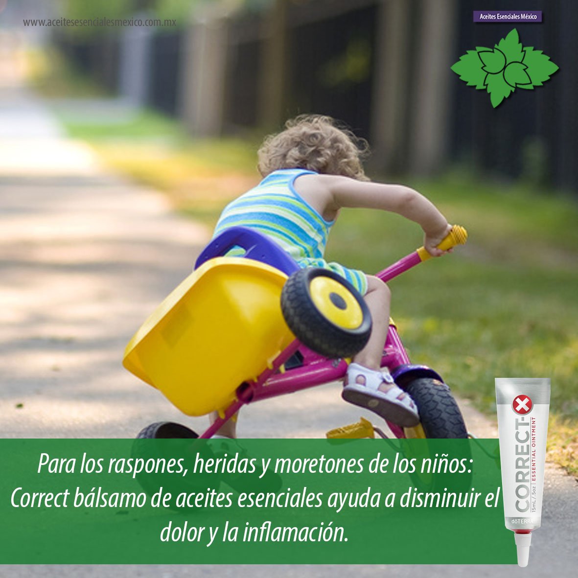 EsencialesMX's tweet photo. #CorrectX de #doTERRA es una crema que tiene todo lo necesario para esos pequeños accidentes. https://t.co/zZvTvMPqBw https://t.co/fo2icbGnMm