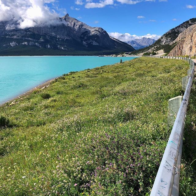 Never a dull moment driving in the Rockies
.
.
.
 #Canada #ExploreCanada #Canadasworld #CanadaVacations #TravelAlberta #IgersCanada #roadtrip #iphoneonly #TourCanada iphone8 #iphonetravel #iphoneinsta #iphonephoto #iphonephotography #iphonetravelphotogra… ift.tt/2voOML1