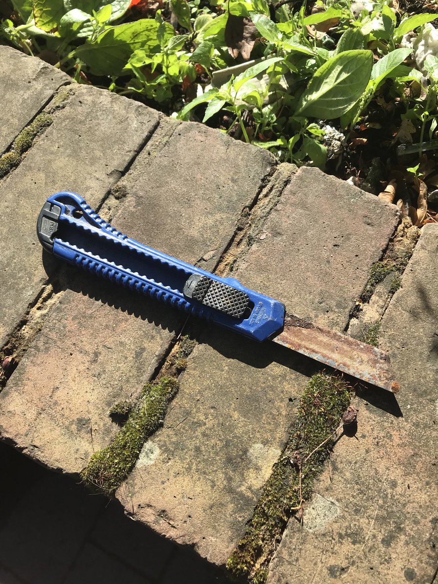 MPSHackney's tweet image. Safer Transport Hackney doing weapons sweeps in Stoke Newington / Dalston area and found a knife concealed under foliage in a busy public area. Keeping London Safe. #gdstt #mpsrtpc #opsceptre