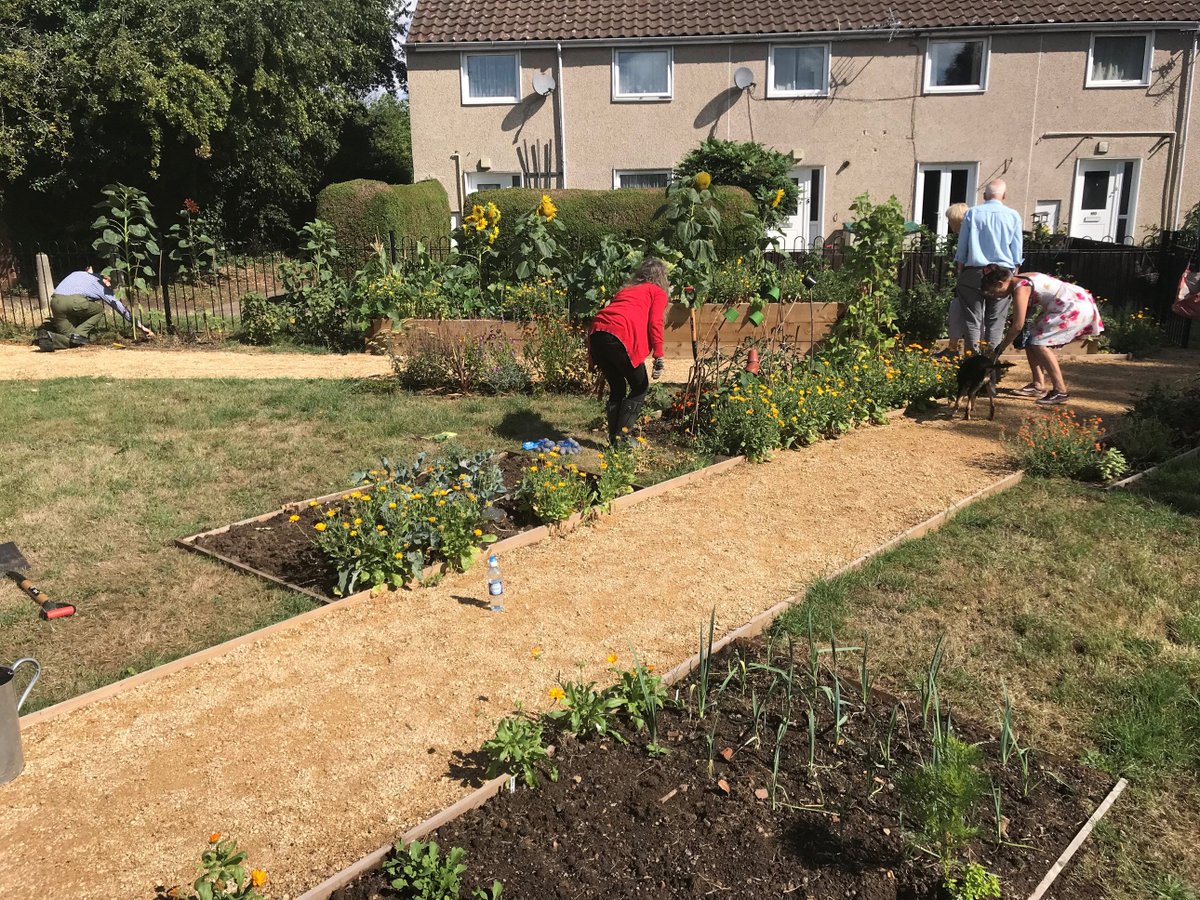 PickersleighCG's tweet photo. As much as we've enjoyed the ☀️ some 🌧️ at the weekend was very welcome.
The bees are loving all of our sunflowers and we've planted some late season potatoes that will be ready later in the year.
In #Malvern and want to get involved? We meet every Tuesday at 10am 🐝🌻 https://t.co/7zvfZxoyrF