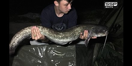 sspbaits's tweet photo. Young angler Liam Bateman with a nice Cat that took a liking to his MONSTER-X boilies... #TeamSSP "Good Things Come To Those That Bait!" https://t.co/YAiov188WQ | #SightSmellPalate #SSPBaits #SystemX #MonsterX #SSPElements #AllSeasonSystemX #WashedOutPopups #carpfishing #carp https://t.co/49oF13sufY