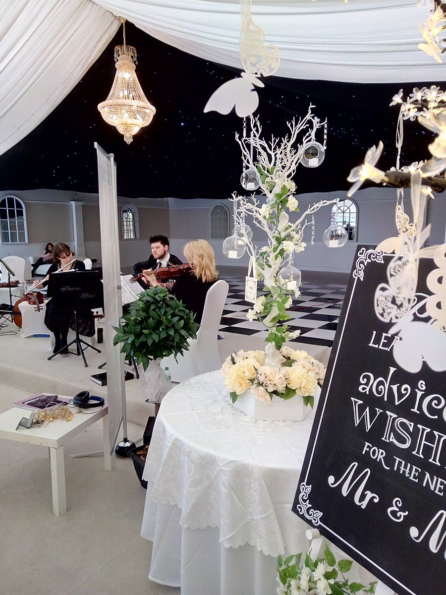 Loving our new Manzanita Trees! #manzanitatrees