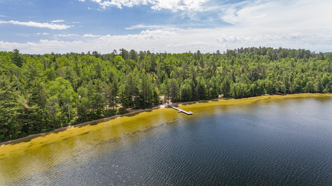 Bear Island Land Co. (bearislandland) Twitter