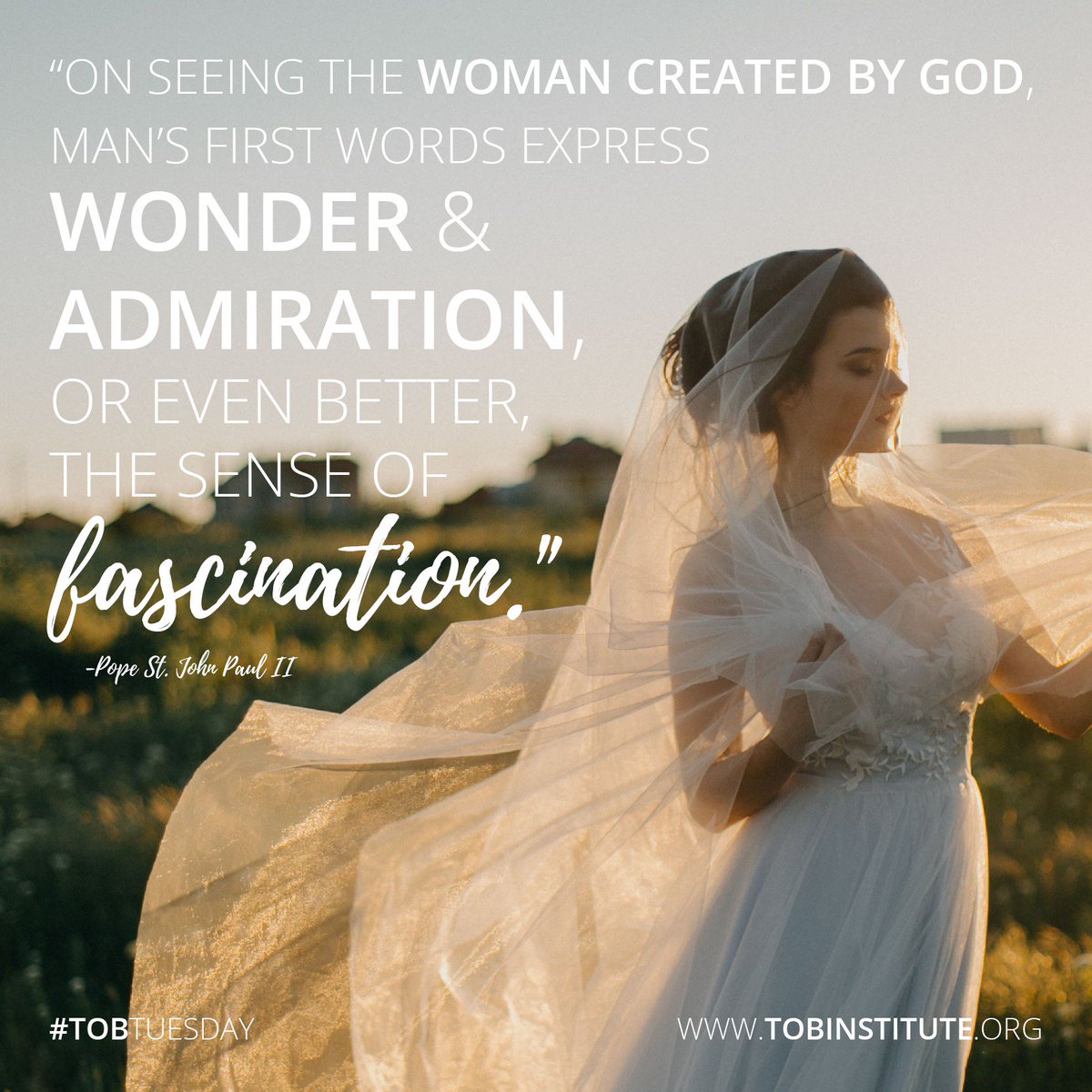 Theology of the Body Institute tweet media