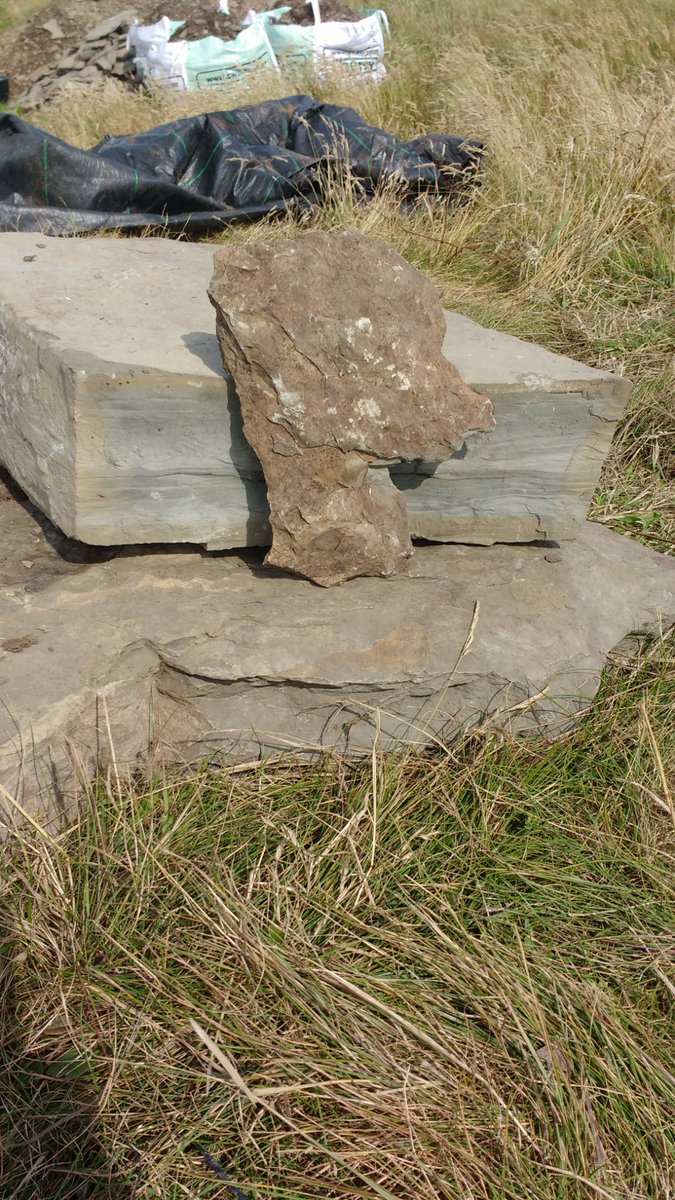 UHIArchaeology's tweet photo. Had a special site visit earlier today while backfilling at Tresness on Sanday. The Simpsons very own C. Montgomery Burns watching over the work!
#PrehistoricSanday #archaeology #Orkney #ArchaeologyBanter #TheSimpsons 
@TheSimpsons @UCLanArchAnth @OrkneyCollege @OAS_Orkney https://t.co/p9uQV3qYEO