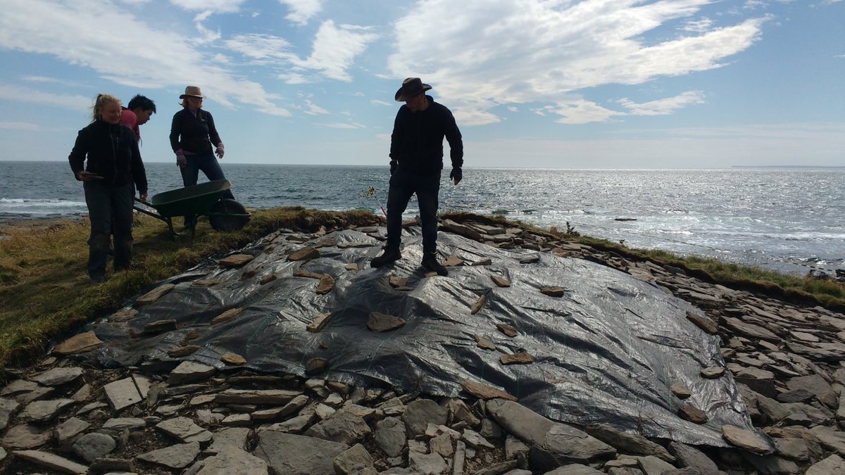 UHIArchaeology's tweet photo. Had a special site visit earlier today while backfilling at Tresness on Sanday. The Simpsons very own C. Montgomery Burns watching over the work!
#PrehistoricSanday #archaeology #Orkney #ArchaeologyBanter #TheSimpsons 
@TheSimpsons @UCLanArchAnth @OrkneyCollege @OAS_Orkney https://t.co/p9uQV3qYEO