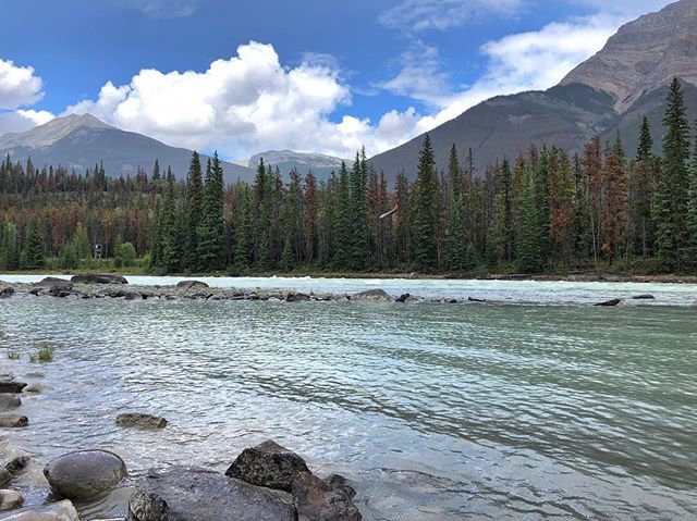 Athabasca
.
.
.
 #Canada #ExploreCanada #Canadasworld #CanadaVacations #TravelAlberta #IgersCanada #roadtrip #iphoneonly #TourCanada iphone8 #iphonetravel #iphoneinsta #iphonephoto #iphonephotography #iphonetravelphotography #travelphotography #travel #t… ift.tt/2OwN9nt