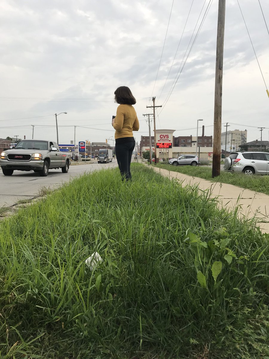 SherriRush's tweet image. @cvspharmacy Just for a frame of reference, my friend is 5’6” tall. If this CVS is going for “knee high by the 31st of July,” they made it! We look forward to landscape improvements! #hoosiersayings #corn #pleaseimprove