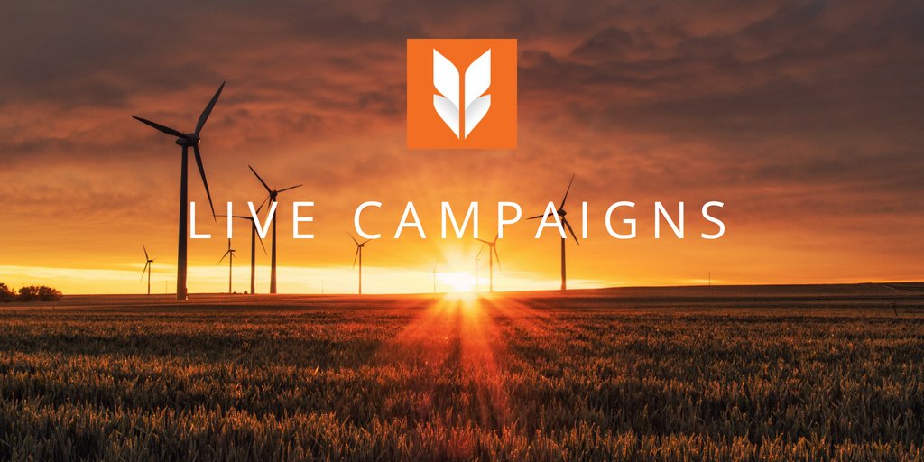 FrontFundr's tweet photo. Looking to #OwnYourShare of businesses that share your passion for environmental sustainability? Check out #impactinvesting opportunities #WorldTree and @RERoyalties on #FrontFundr: https://t.co/JUseKW98wQ

 #EnvironmentalSustainability https://t.co/DFTYMMVuWf