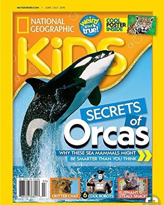 Check out this deal on my Pinterest page! 
pin.it/gr3idcmcceobdf

#deals #promos #special #natgeo #science #socialstudies #magazinesforkids #magazines #homeschool #reading #education #blog instagram.com/p/Bl5vULTgmGl/