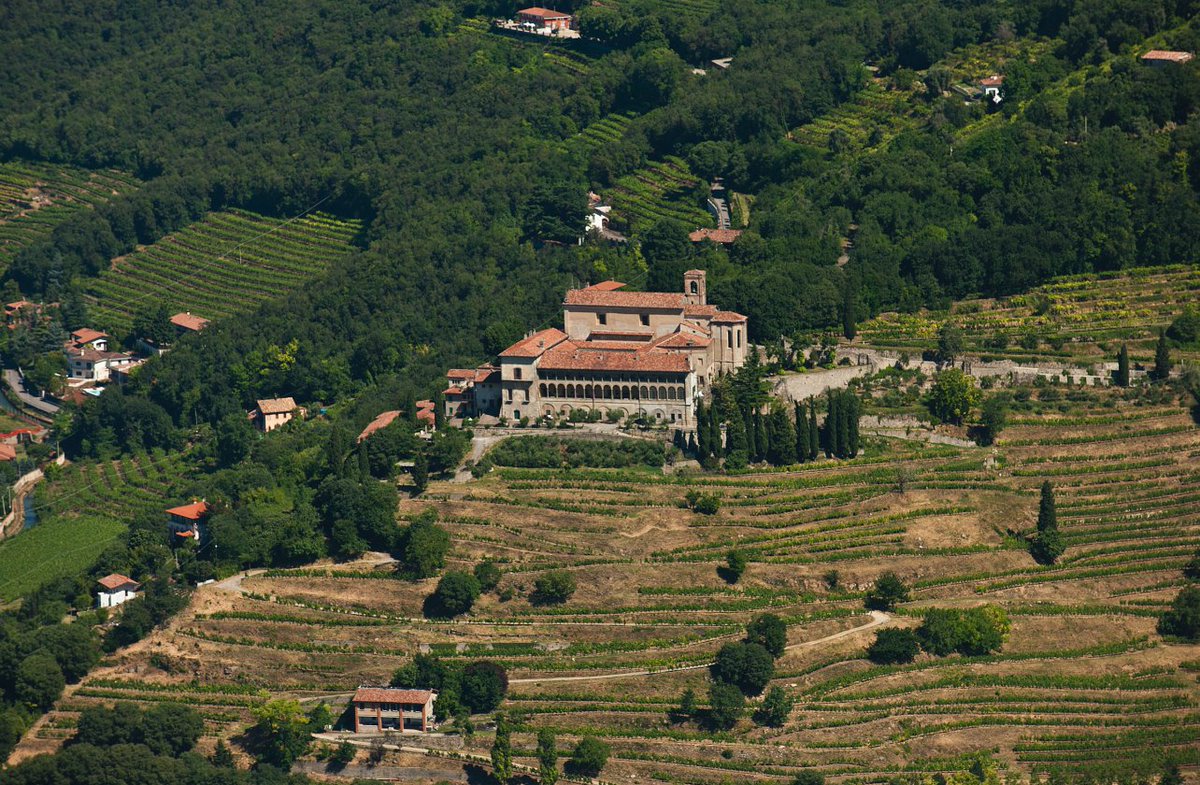 Holding Terra Moretti tweet media