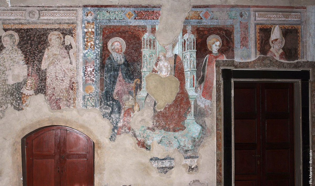 Holding Terra Moretti tweet media