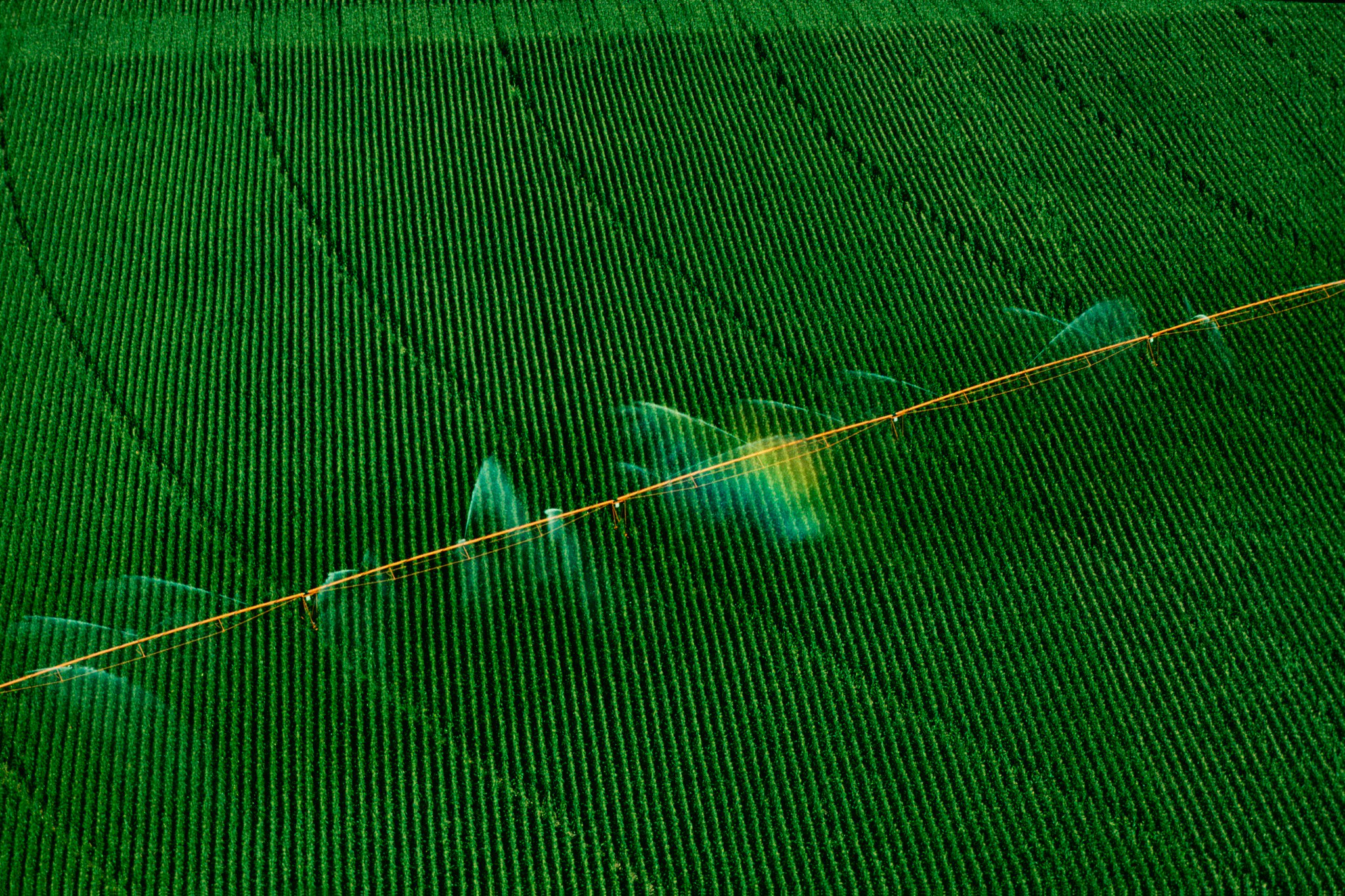 Hitachi in Europe on Twitter "Can we develop crops which can grow in