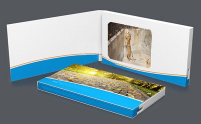 Flash_Max_USB's tweet photo. Video Brochures, Video Business Cards, Video Easels are all on sale now at Flash Max. Call for pricing or details. https://t.co/qH3zlEA8hA
