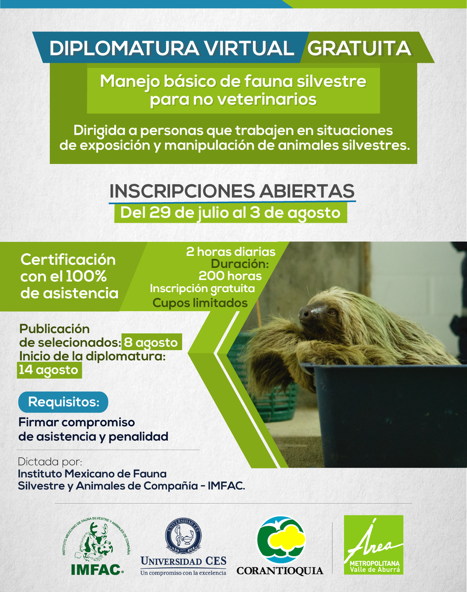 Invitamos a líderes ambientales, miembros de las organizaciones ambientales, a funcionarios que trabajan en situaciones con animales silvestres, a inscribirse en la diplomatura en manejo básico de fauna silvestre goo.gl/zCufHc
<a href="/Areametropol/">Área Metropolitana del Valle de Aburrá</a> <a href="/UniversidadCES/">Universidad CES</a>