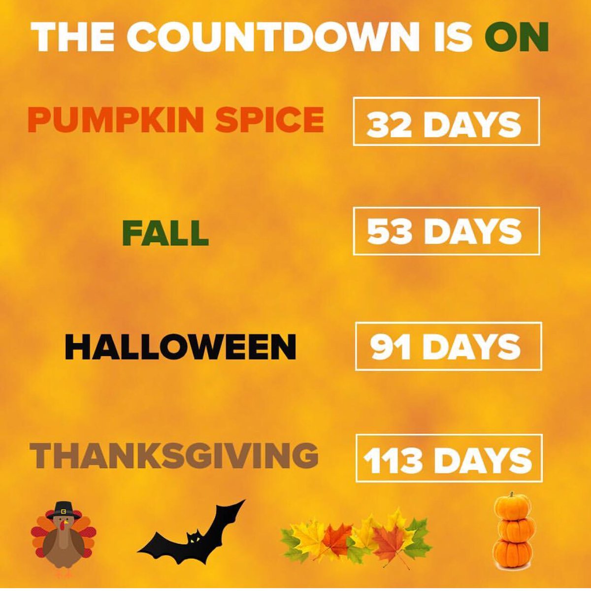 PoliceCreek's tweet photo. Just going to leave this here 🙃

#SweaterWeather #PumpkinSpice https://t.co/1mUhbKaDmu