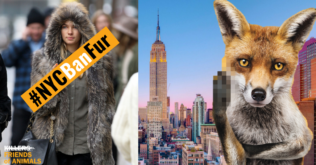 FoAorg's tweet photo. #FurFact: More than 850 retailers have gone fur free including Selfridges, H&M, The North Face, @Timberland , @VANS_66 and Net-a-porter. #NYC should be on the right side of history and ban fur too. @NYCCouncil #NYCBanFur https://t.co/taOQJl6G2T