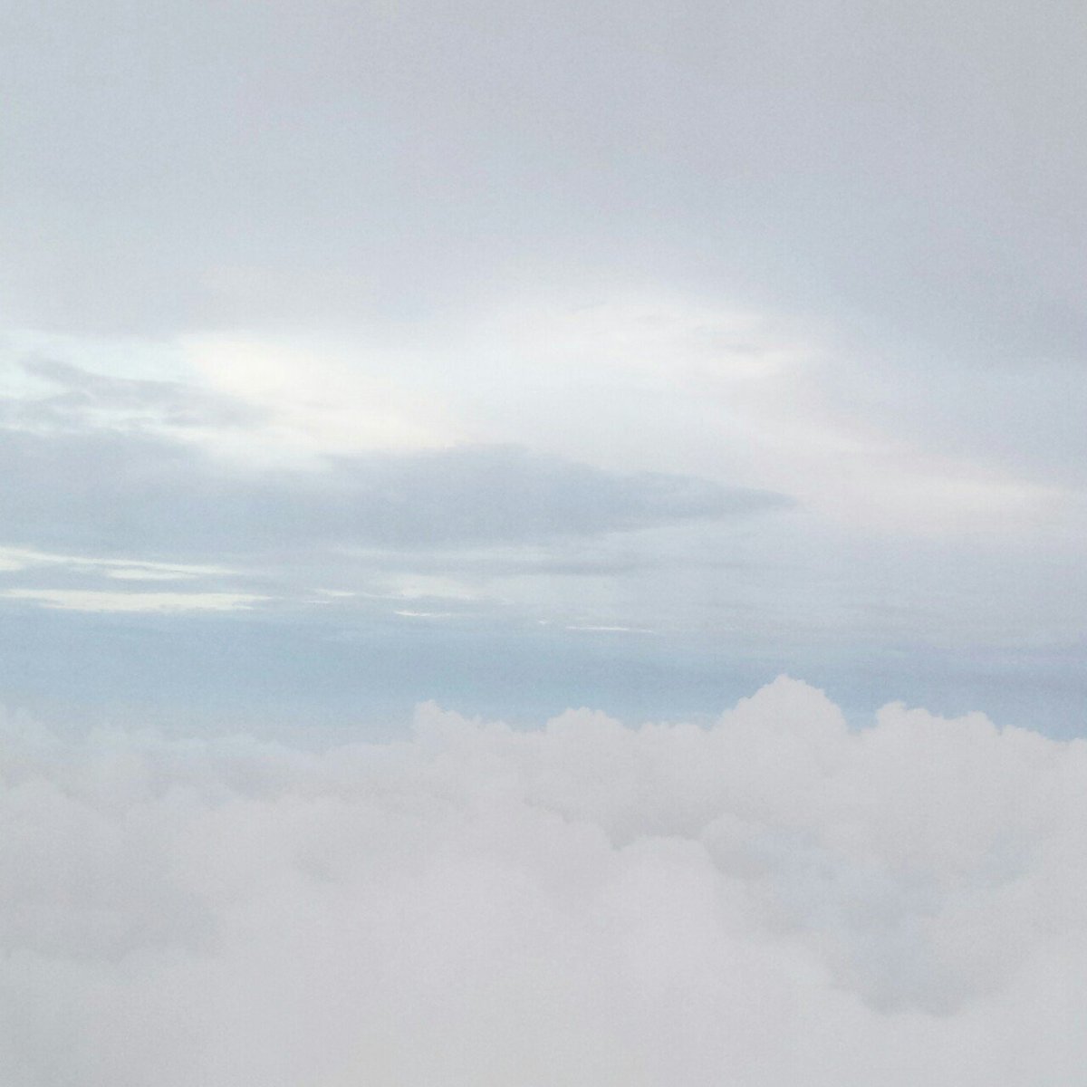 ☁🌿 : #Augustwish “เดือนใหม”่ แล้วขอให้คนที่เห็นทวิตนี้มีความสุขมากๆ ขอให้เป็นการเริ่มต้นเดือนใหม่ที่ดี อะไรที่ไม่ดีก็ให้ทิ้งไปกับเดือนเก่า ใครที่กำลังท้อแท้ เหนื่อยจากงานต่างๆ ขอให้สู้ๆต่อไปนะครับ เป็นกำลังใจให้🌻💛 ขอให้มีสุขภาพร่างกายแข็งแรง ผมอยากเห็นทุกคนยิ้มนะครับ 💭📝♡♡