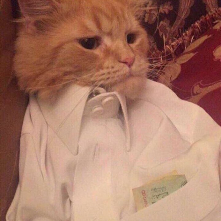 s_ah6's tweet photo. تعالوا انضموا الي #BIGOLIVE  https://t.co/LGpynbkgLe https://t.co/FW65Xq78Ad