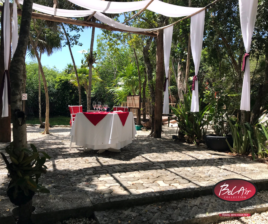 Haz de esa noche un momento especial. #BelAirRivieraMaya.

Informes y reservaciones aquí 👉goo.gl/NgpxBm