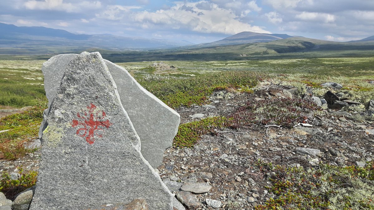 markodekogel's tweet photo. Today we walked one of the most beautiful parts of @stolavsleden between Dovre and Fokstugu #stolavsleden #dovrefjell #norway #pilgrimspath @visitnorway https://t.co/AlWDZlV2X0 https://t.co/DnV1WhSKLP