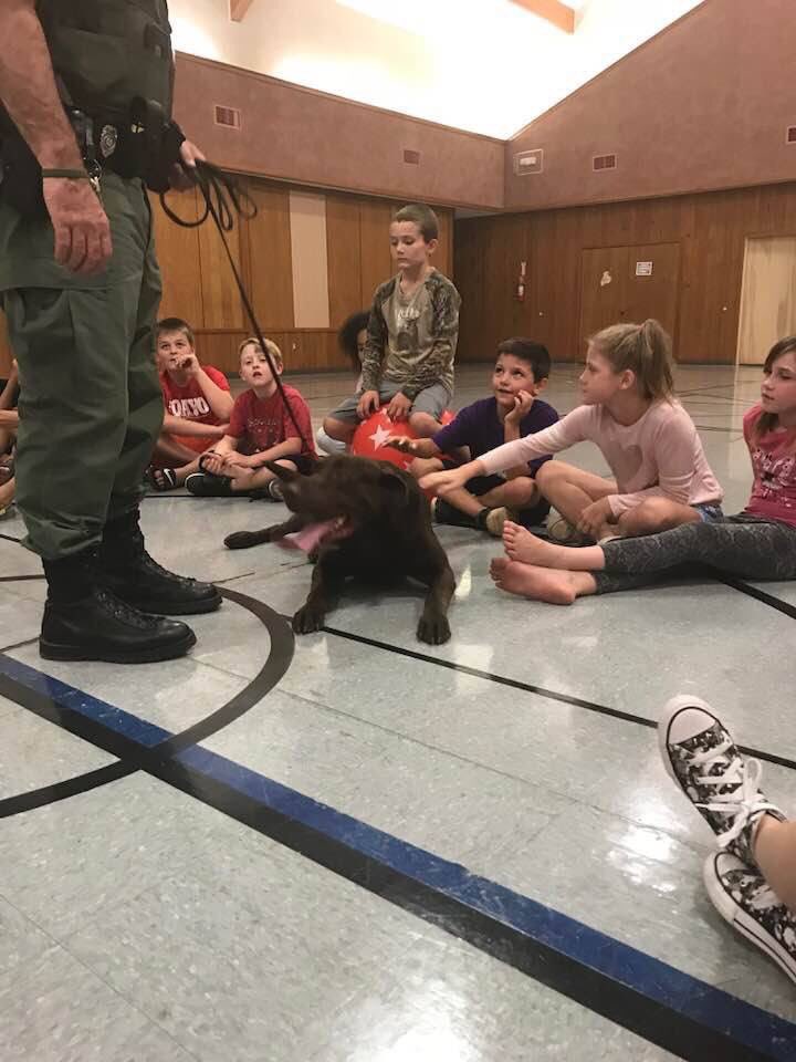 Officer Williams and his K9 partner Hank are spending the day in Ozark talking to kids about what to do if they get lost in the woods and how Hank would be used to find them. #gamewardens #reachingkids #bepartofyourcommunity @ARGameandFish