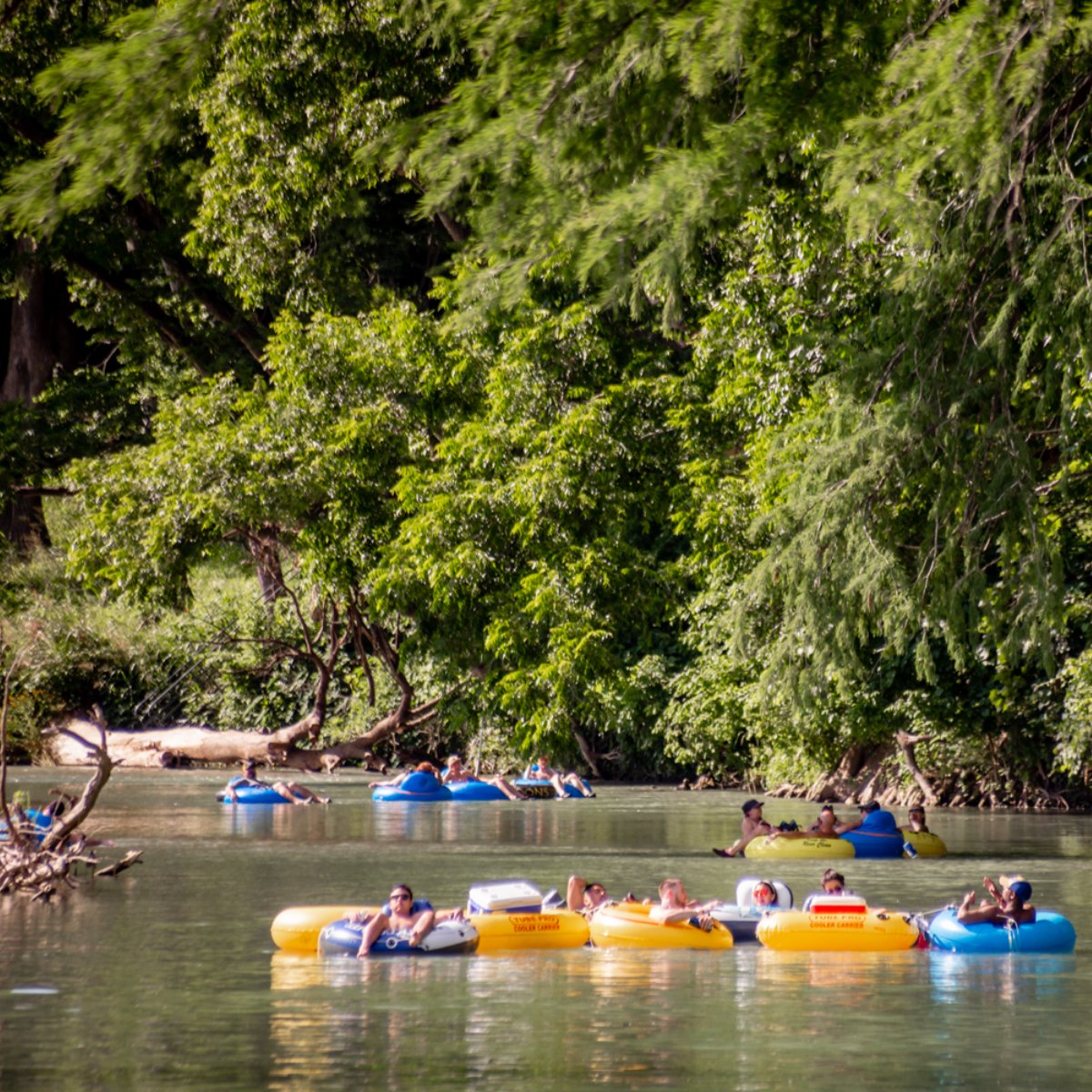 Donsfishcamp's tweet photo. Sweet summertime when the floatin' is fine. https://t.co/T6bdYdtzQP