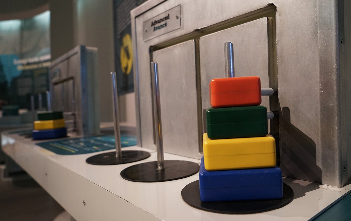 nnori's tweet photo. Brain: The Inside Story at @MuseumofNature So many fun games and experiences! #BrainAtTheMuseum #MyOttawa #ExploreCanada #DiscoverON https://t.co/m9Dkbqxlpi
