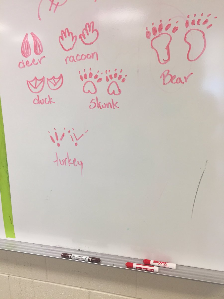 murph12_l's tweet photo. Our campers got to make animal track cookies today! #MACSAwesome #MASummer #JOLeaders #JOFamily https://t.co/jJQh3sE1do