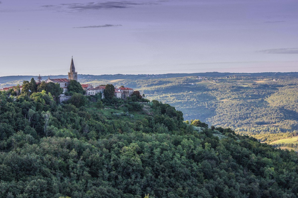 drago_karlo's tweet image. #GROZNJAN THE MOST BEAUTIFUL LITTLE TOWN IN #ISTRIA 😃📷❤️ #CROATIA  #planet #Earth #world #life #nature #countryside #environment #heritage #walking #hiking #travel #explore #ecology #picture #photography #NaturePhotography @TapardeaA #stonecity #oldcity #statecity