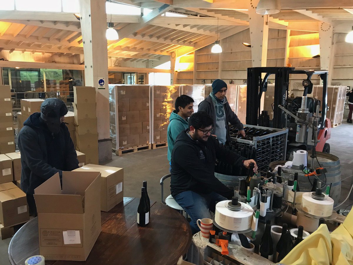 KingstonWine's tweet photo. Our team, including #cellarmaster Manuel (center), labeling &amp; boxing our 2017 Sabino #Chardonnay for the boat journey up to #California. The #wines are currently en route, the fall release is on its way! https://t.co/cFzjHUxms8