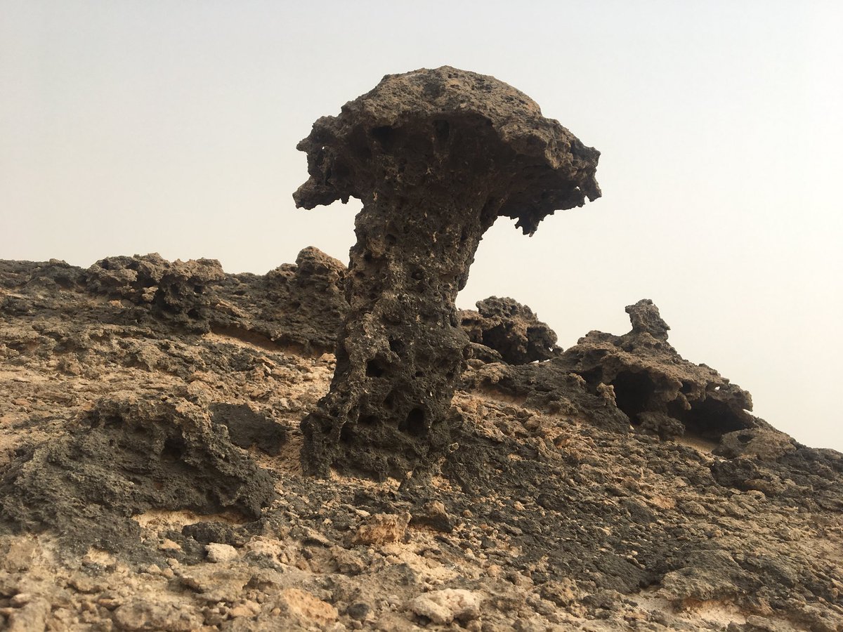 Mbada3i's tweet photo. ما زالت الدقم تدهشنا بالشواهد الجيولوجية الفريدة
#الدقم #جيولوجيا #عمان #geology #duqm #oman https://t.co/xQFyZbWZNk