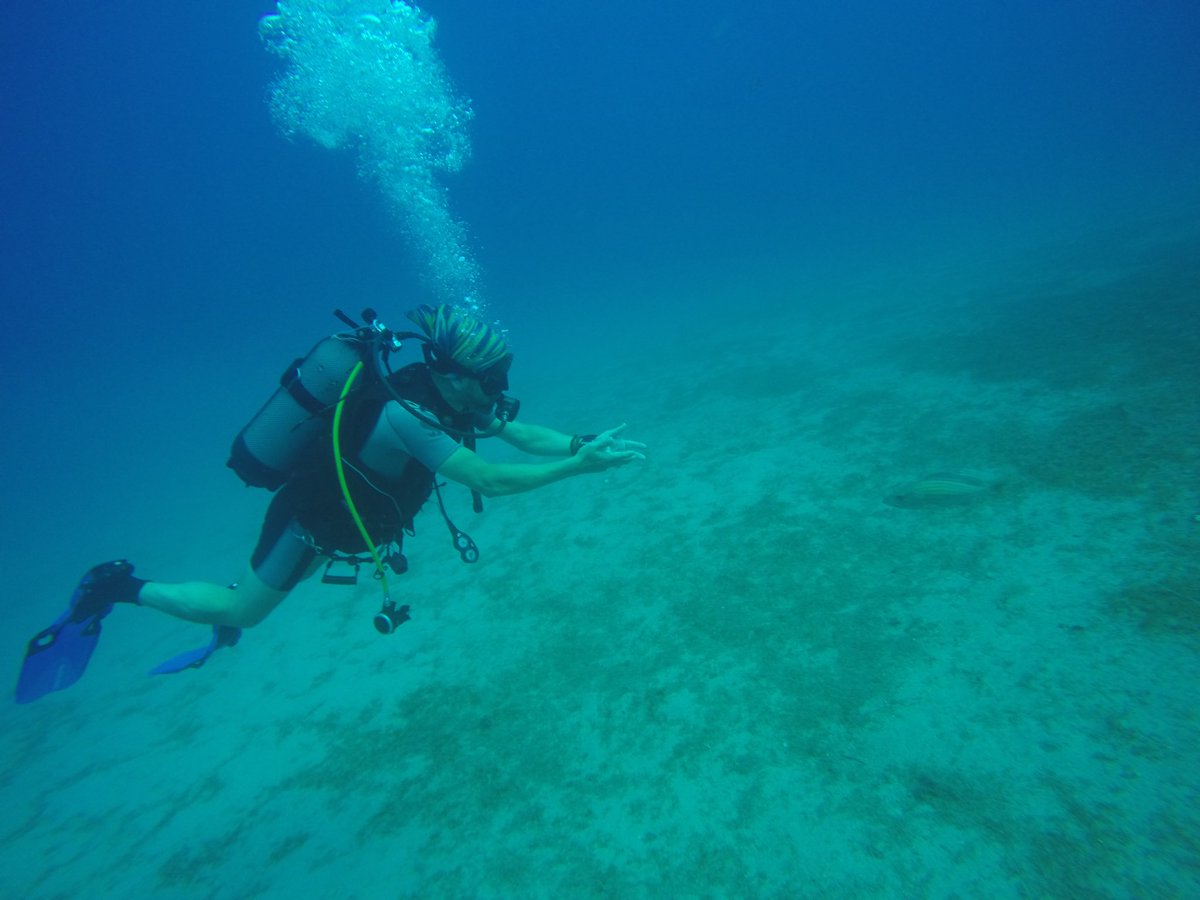 mirmirik's tweet image. Fotografin sagina yeterince zoom yapilirsa, bir baliga “sevgili atamiz tiktaalik karaya cikti, ola ola arada biz de olduk, bizden de bir halt olmadi” demeye calistigim cok acik olarak goruluyor bence. #evolutionisafact