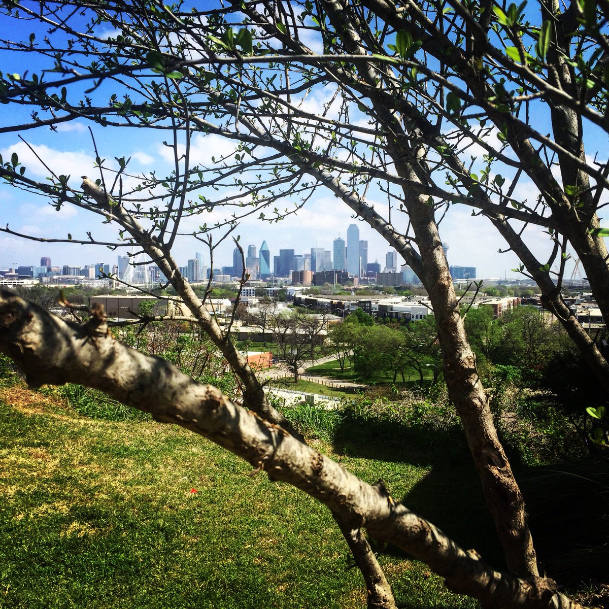 HousedDFW's tweet photo. Doing our part to keep #Dallas trending! Here are a few of our favorite #BigD pics ❤️🇨🇱❤️ #movetoDallas #DallasRealEstate #DallasRelocation #getHoused https://t.co/KEsNOJPz9m