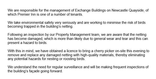 Thanks to all our guests who showed concern over the nesting kittiwakes. We have received the following update from our landlord: