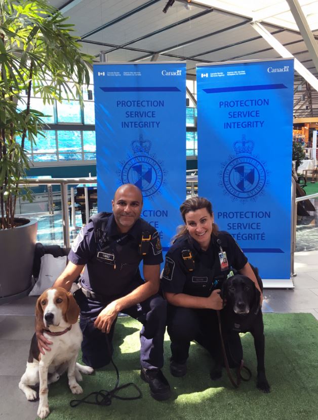 CanBorderPAC's tweet photo. Thank you travellers and dog lovers for joining us at @yvrairport for the #DogDaysofSummer event and making the event a success! Without your support it would have been impawsible! #detectordogs #DogsWithJobs @PADdogs @TransitPolice @securiguard https://t.co/uzAcMwo8pf