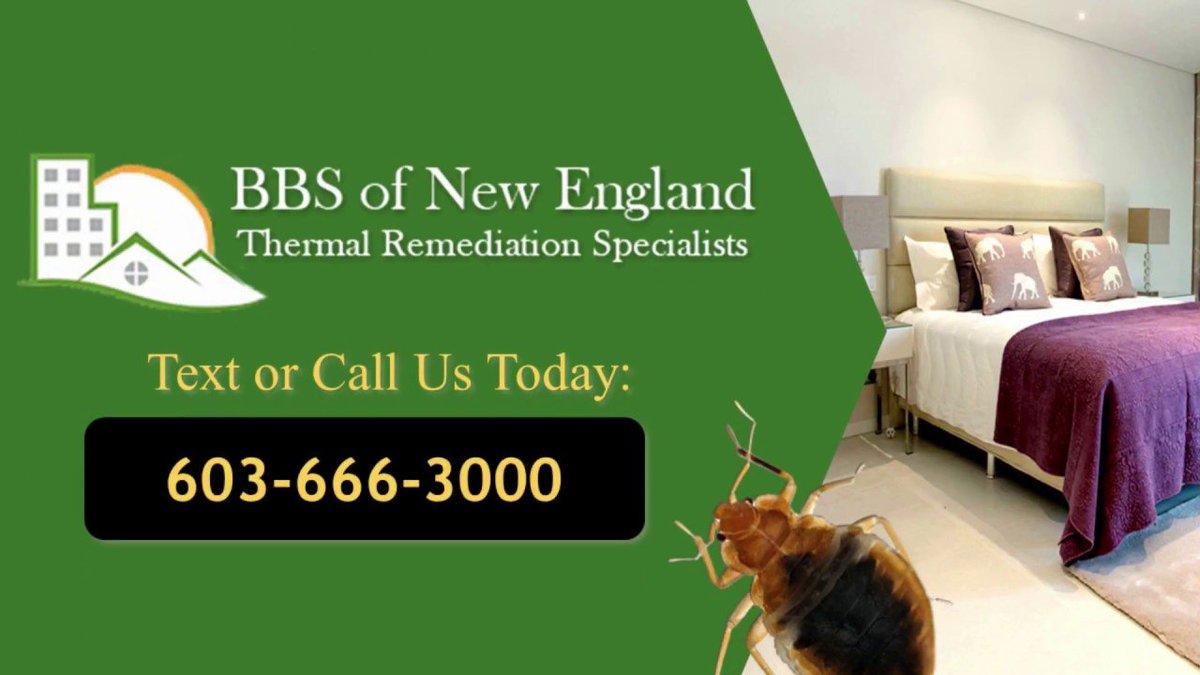 Prepare your home for a heat treatment against bed bugs Bed Bug