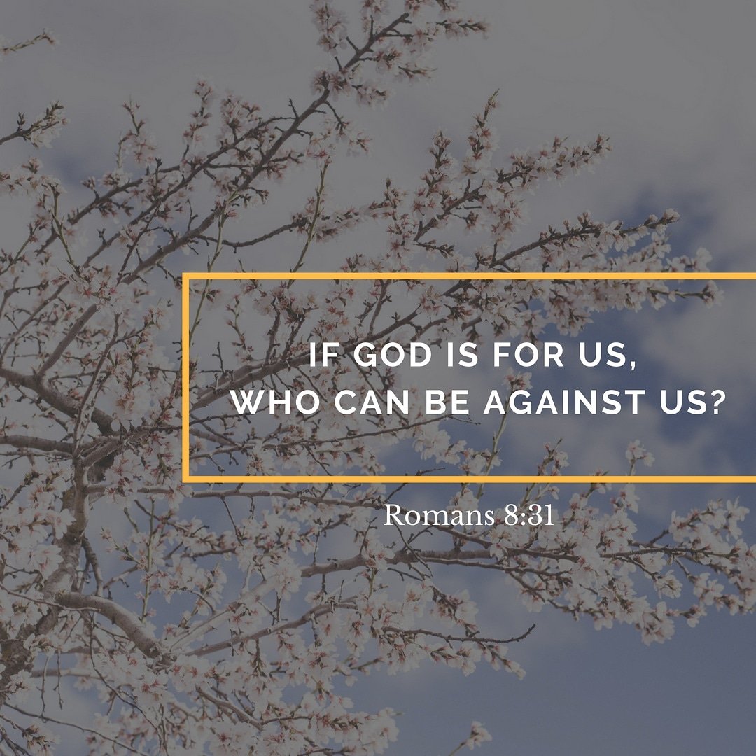 churchvector's tweet photo. 🔸If God is for us, no one can stop us! 

#romans831 #BibleVerse #biblequote #christiangraphics #socialvector #churchvector #preach #Godisforus #whocanstopus https://t.co/qCCvRYl3Db