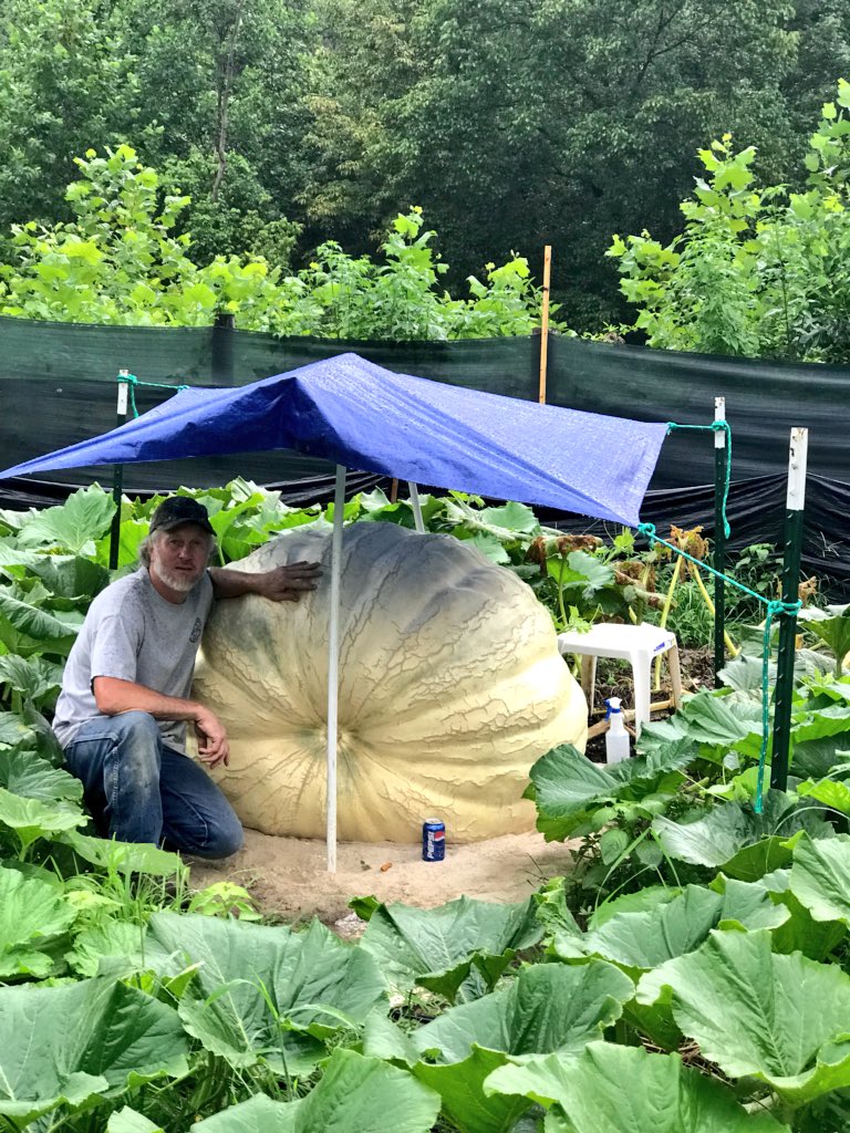 LeefordSimpson's tweet image. Good luck to my friend and business partner Dwight Slone at this year’s Kentucky State Fair presenting 🎃 tapping out 1,140lbs @HarrellsLLC Max #foliars🐍 #earthmax #calplus #magnesium #PxIV💪 #🎃Vibes