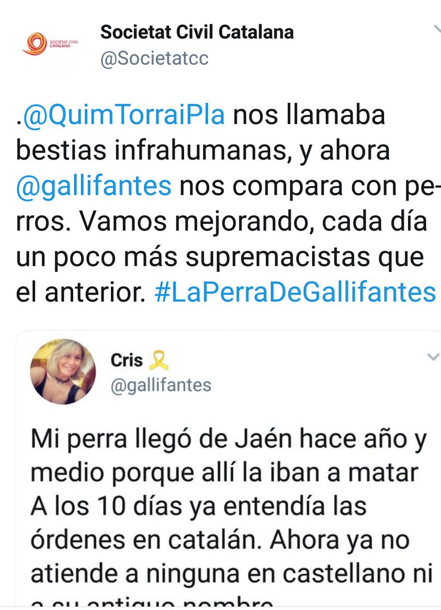 El delirio catalán sobre un perro de Jaén del que se cachondea todo Twitter - Página 2 DjdPAwuXoAAduvW
