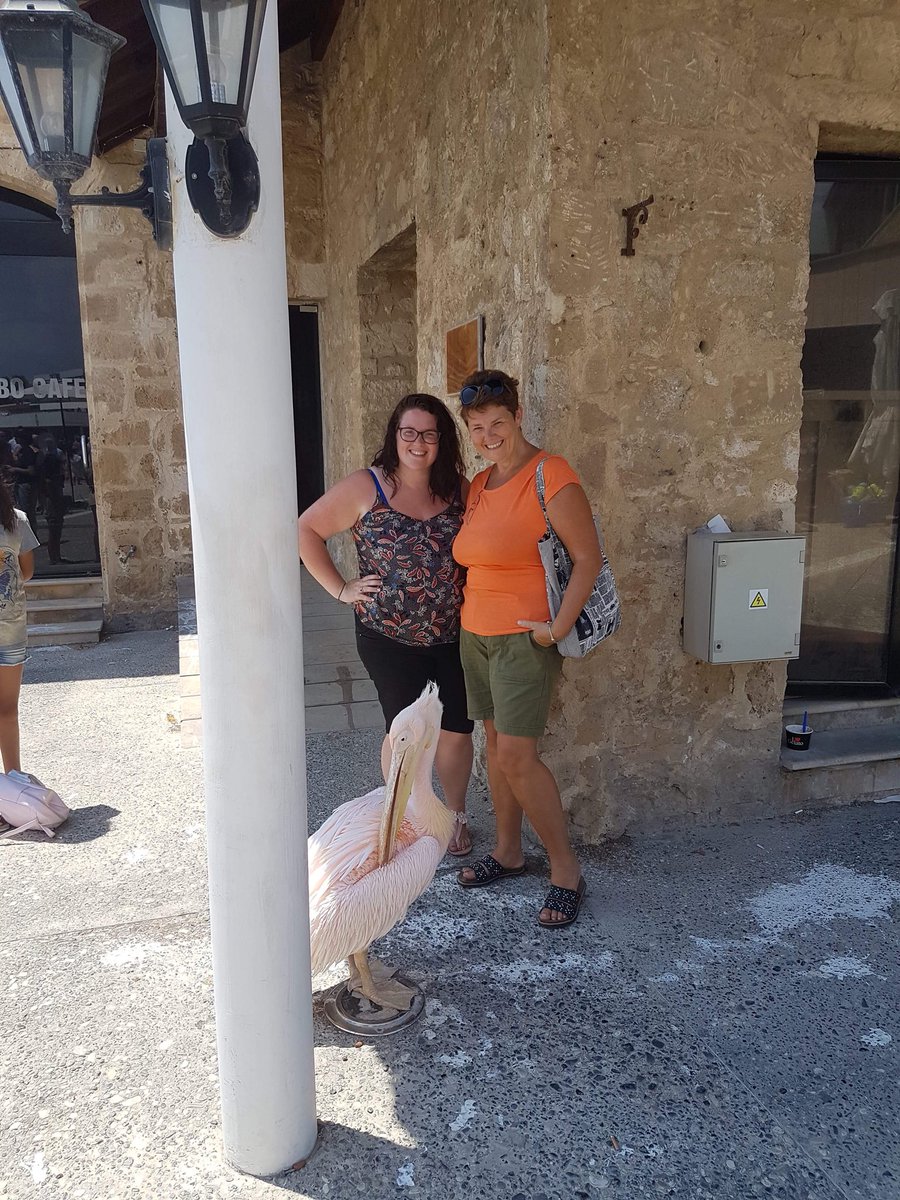 Jean5724's tweet photo. Love having house guests staying with us especially when itβs one of my gorgeous girls @LauraRennie8 #Cyprussun #Cyprusliving #pinkpelican https://t.co/qDY8ZqPnCv
