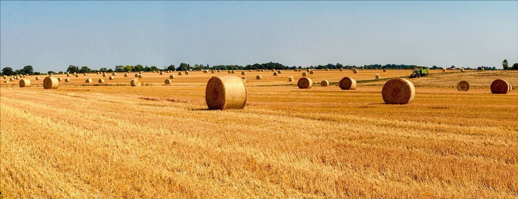 #summertime #harvest #harvester #suffolk @BestSuffolk #photograph #panoramicphoto