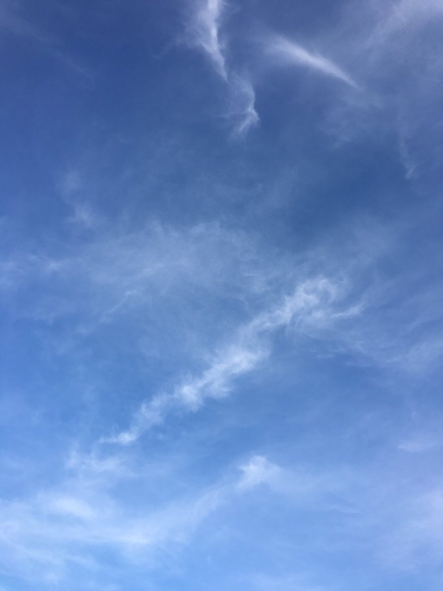 _Chris_Mullen's tweet photo. Well done everyone tonight at Belmont, Wonford and Merrivale!!! Tuesday is always a big night with 3 classes on one night!!! All made easier when the weather is so beautiful!! @freemoovement @WellbeingExeter @Exeter_Hour @ILoveExeter @tweetinexeter @ExeVelocities @_ExeterGreen https://t.co/0TnlihlWw9