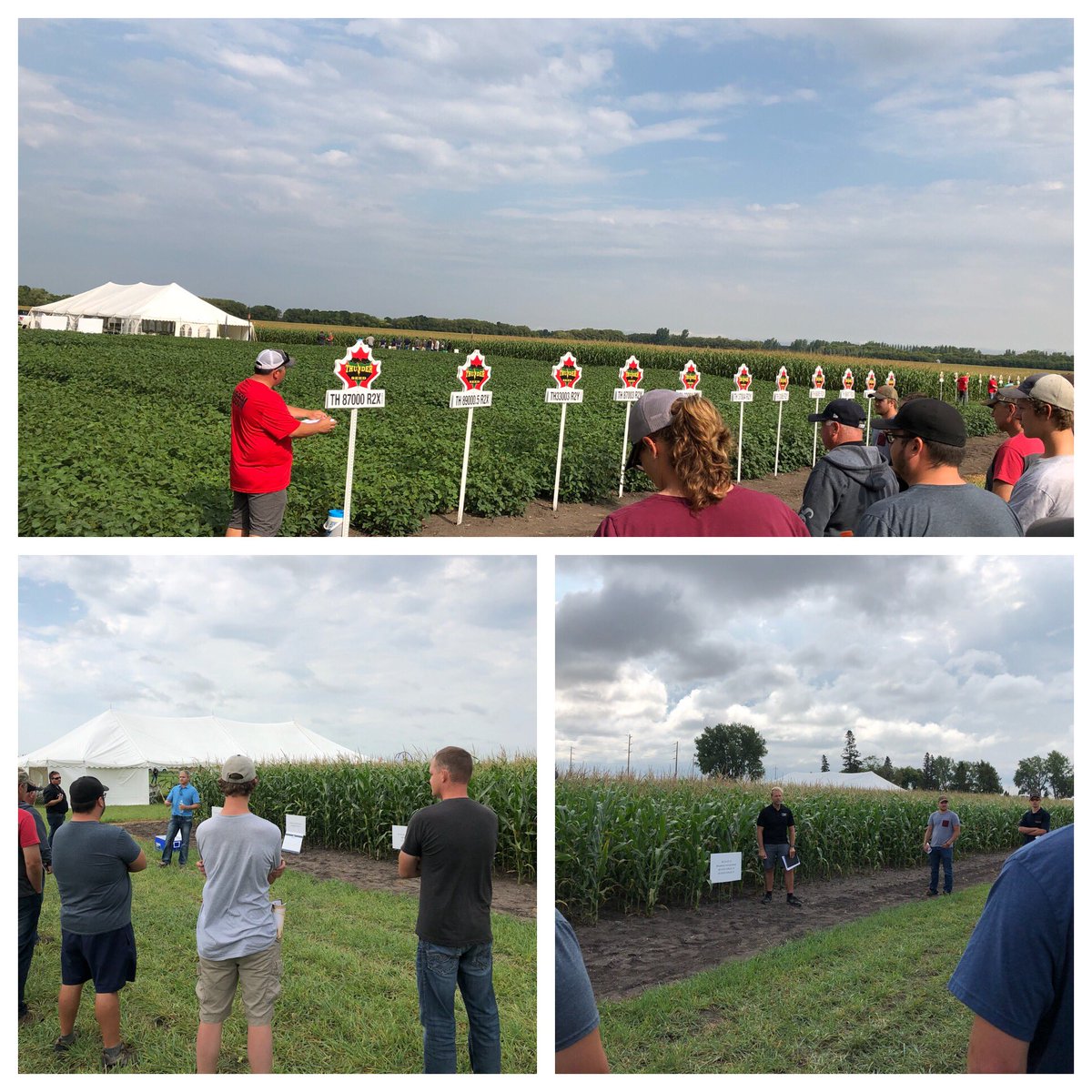 stevenmaxted's tweet photo. Plot Tour w/ ThunderSeeds today lots of Great Information about Soybeans and Corn - Highlight in how Unique each Farm Truly Is - not the same as your neighbours @WendyMajor10 @field2fieldag @antaraag @ferguson181412 @syngentacanada @BASFAgSolutions #farmersfirst #FBN18 https://t.co/RNDincvZR7