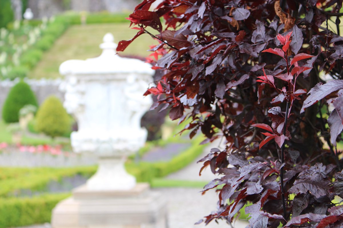 Visited <a href="/drummondgardens/">Drummond Gardens</a> today. It was beautiful and I would recommend it to anyone going near Crieff.