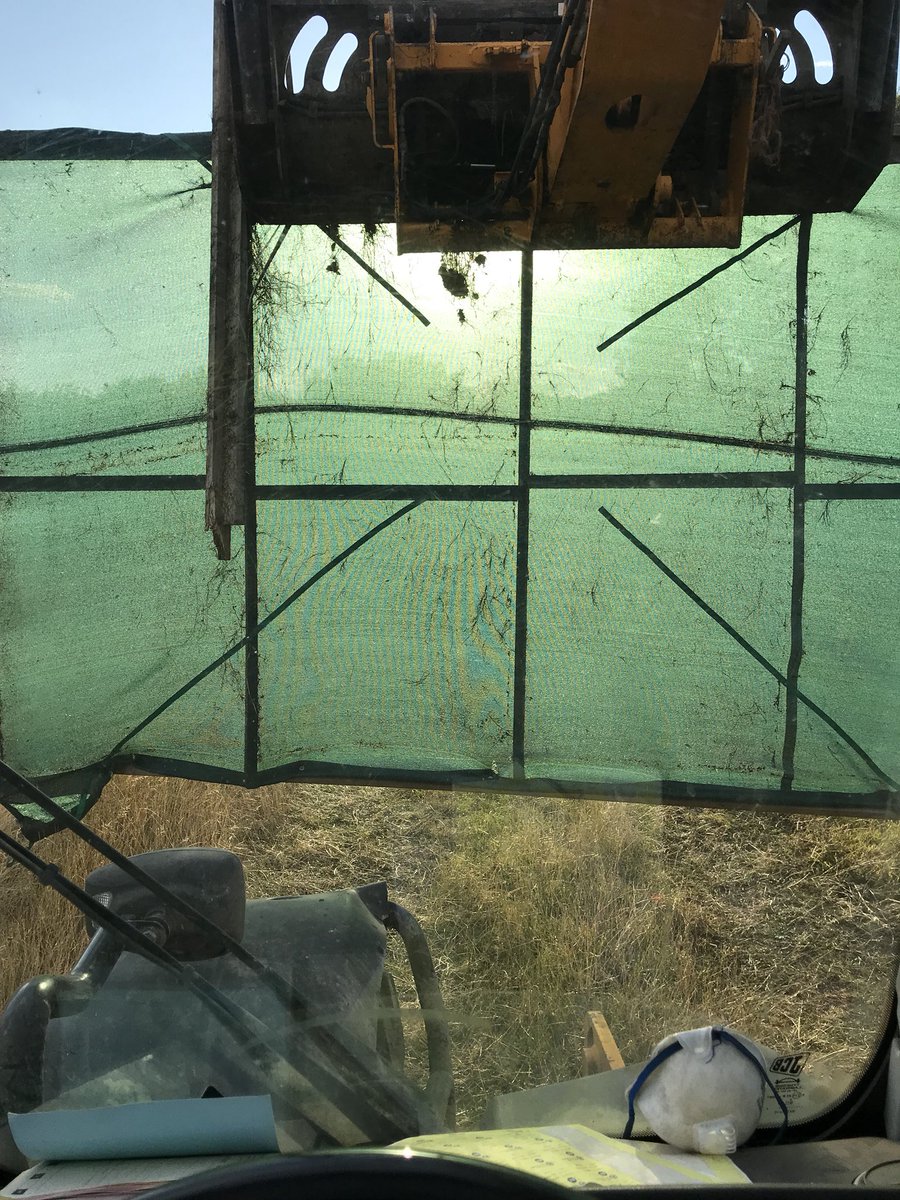Childs295Greg's tweet photo. Might not be the best sun screen idea, impairs visibility a little #jcbwork #badhs #riskassesment https://t.co/vLP57nc6bn