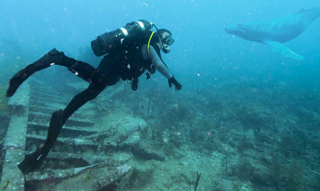 PresOnCorp's tweet photo. Neoprene wetsuit equipped with "blubber" extends time for #arctic divers from minutes to hours: https://t.co/yTX6pG9TvU https://t.co/kV50obRvgm