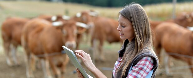 Rural_Mark's tweet photo. Instalação de Jovens Agricultores

Abriu hoje o anuncio da medida 3.1.2 e 3.1.1 do PDR2020. 

Aberto até 28 de Setembro de 2018

https://t.co/ORDae5Xo4v

#pdr2020 #ruralmark https://t.co/Zf2ieUE7mY
