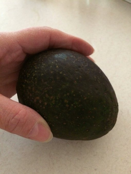 Hmmmm...! It's # nationalavocadoday !!! Should I eat it or play with it...? VBEG! https://t.co/WZZXG