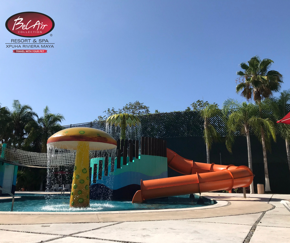 Nunca es demasiado tarde para tener una infancia feliz 🏊‍♀️👨‍👩‍👧‍👦 #BelAirRivieraMaya.
Informes y reservaciones aquí 👉goo.gl/NgpxBm